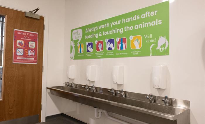 Hand Washing Station